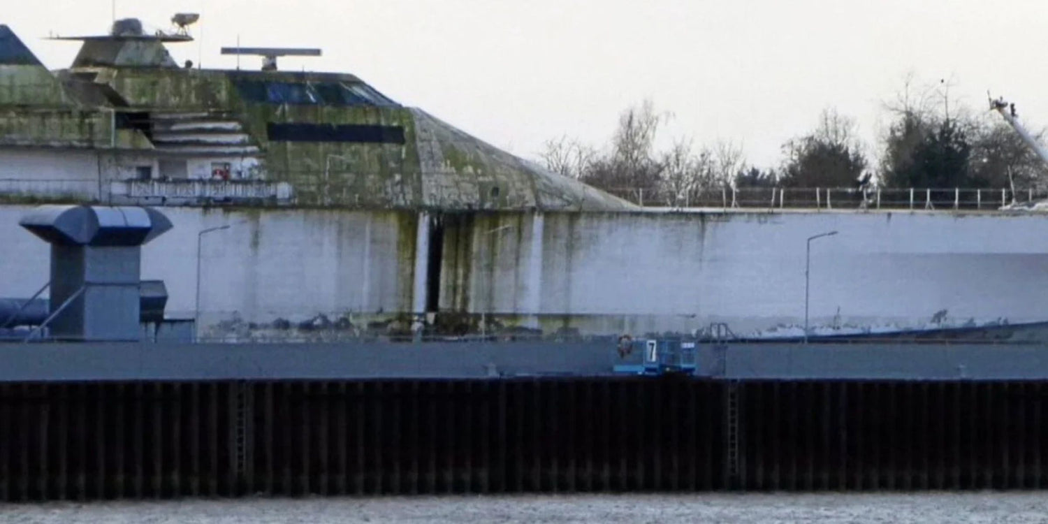 The overall scene suggests neglect or long-term exposure to harsh environmental conditions. Trees without leaves are visible in the background, indicating a winter or early spring setting.