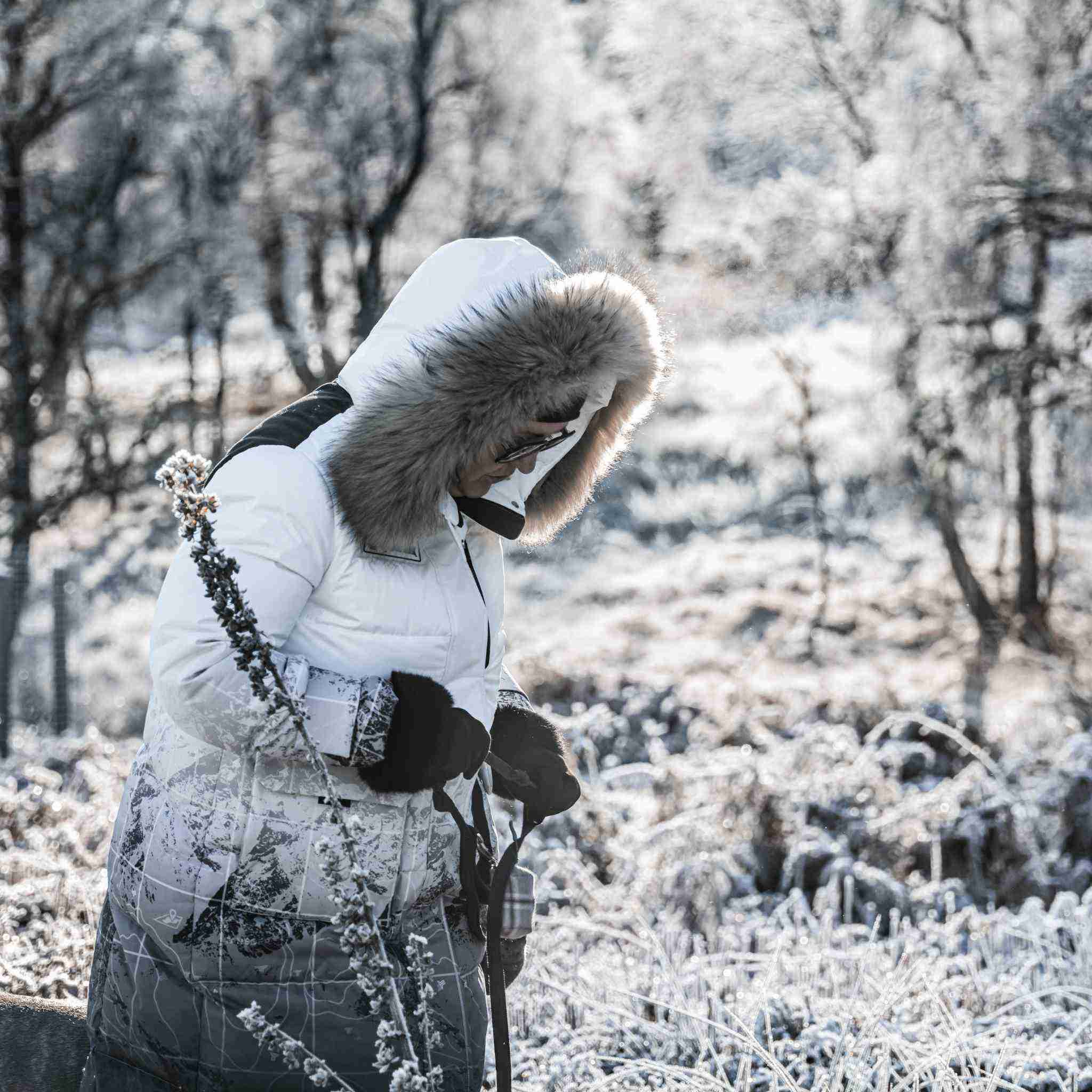 Woman hiking in snowy scottish highland forest wearing Trident Trooper Down Coat by APACHE STAR, demonstrating its insulation and outdoor performance.