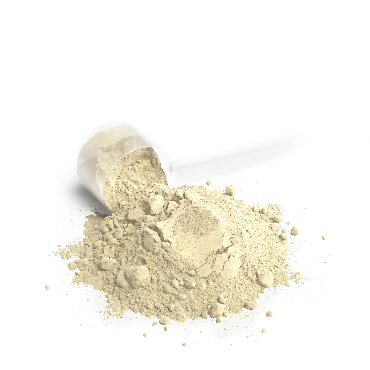 WHEY PROTEIN BLEND - VANILLA | 2-Pack
